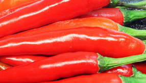 助您决胜市场的电话轰在线轰炸免费下载