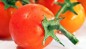 无限呼叫别人电话的软件